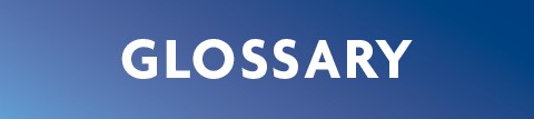Glossary
